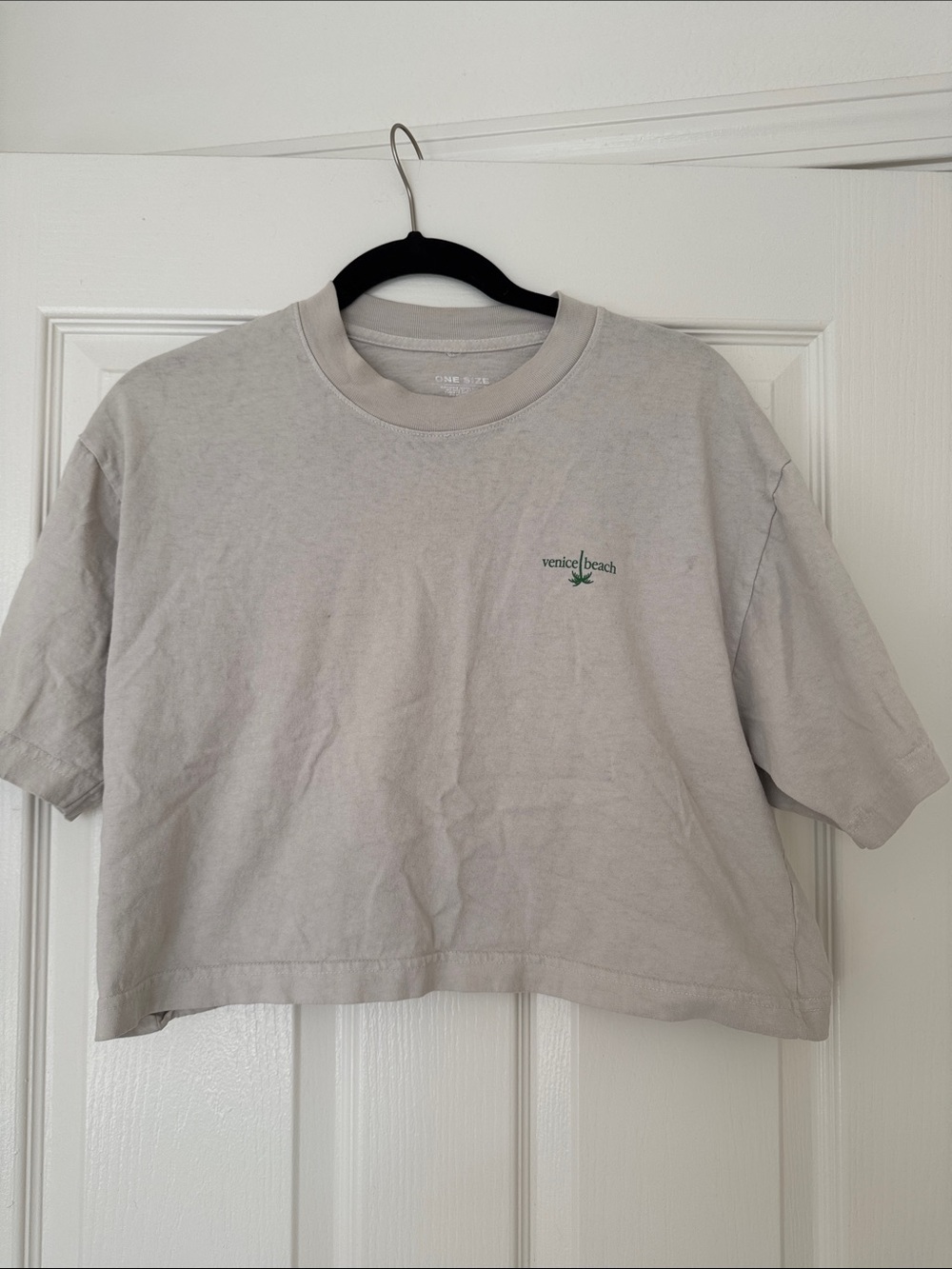 Venice beach 420 Light taupe/Gray Cropped Tee. One size fits most